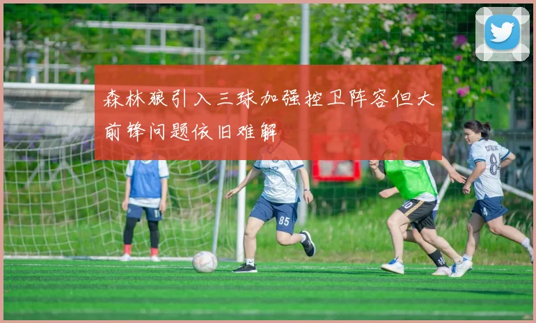 森林狼引入三球加强控卫阵容但大前锋问题依旧难解